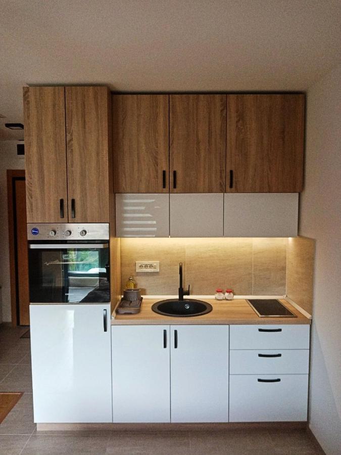 Studio Apartman Gorski Kristal Zlatibor Exterior foto